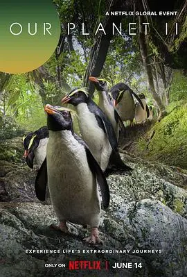 《我们的星球第二季》：震撼回归，用镜头守护地球的壮美与脆弱